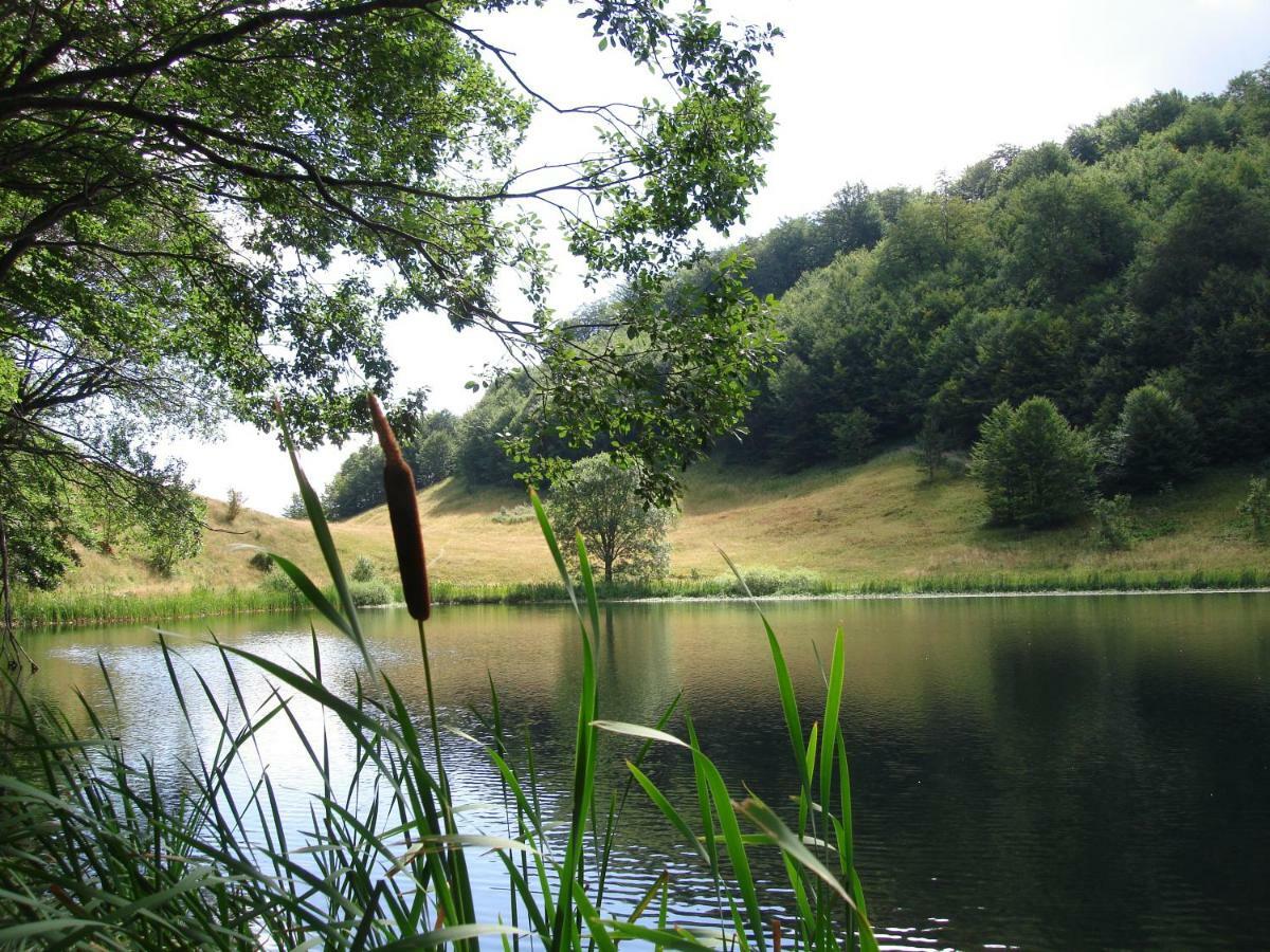 Turisticki Kompleks - Montana Tjentiste Zewnętrze zdjęcie